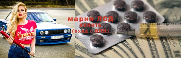 ГАЛЛЮЦИНОГЕННЫЕ ГРИБЫ Волосово