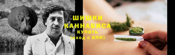 амф Володарск