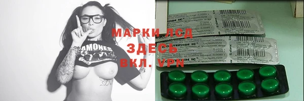 шишки Сосновый Бор