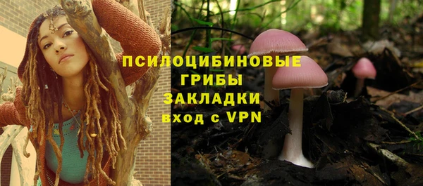 ГАЛЛЮЦИНОГЕННЫЕ ГРИБЫ Волосово